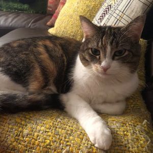 Meet your Posher, Catherine